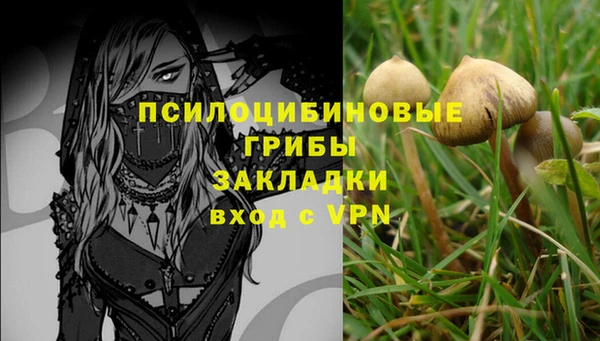 ГАЛЛЮЦИНОГЕННЫЕ ГРИБЫ Абаза