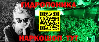 соль ск Новозыбков