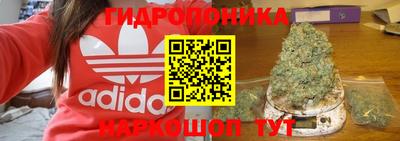 PSILOCYBIN Новокубанск