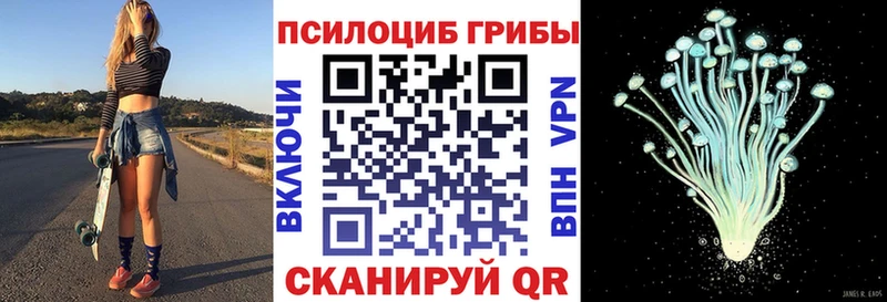 Галлюциногенные грибы Psilocybe  Торжок 