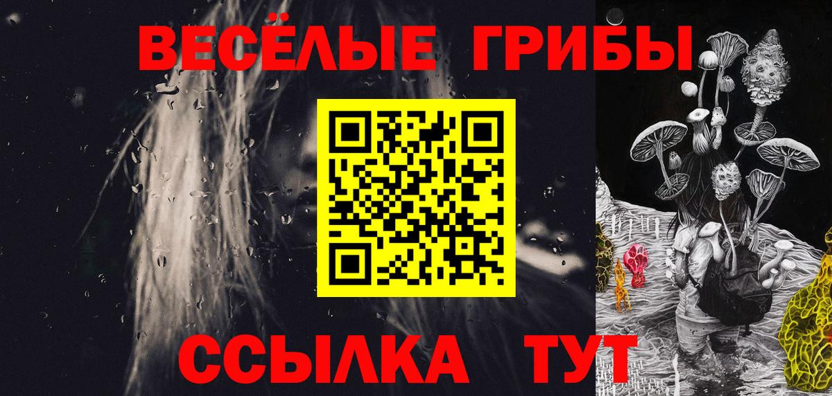 Торжок  Псилоцибиновые грибы Psilocybine cubensis  Вход с VPN 